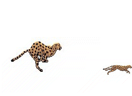 a1figure.gif