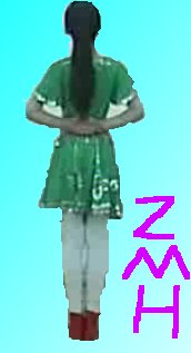 a1figure.jpg
