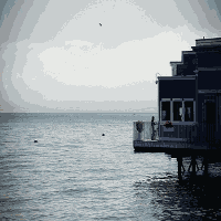 a1figure.gif