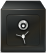 a1icon.png