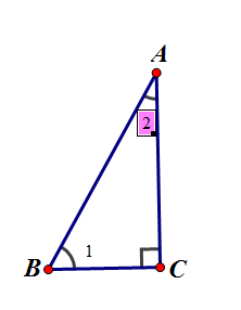 c7mv.png