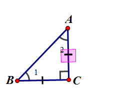 c8eq.png