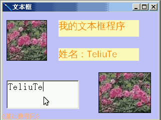 c3yx.gif